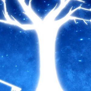 Meet your Posher, Nyika